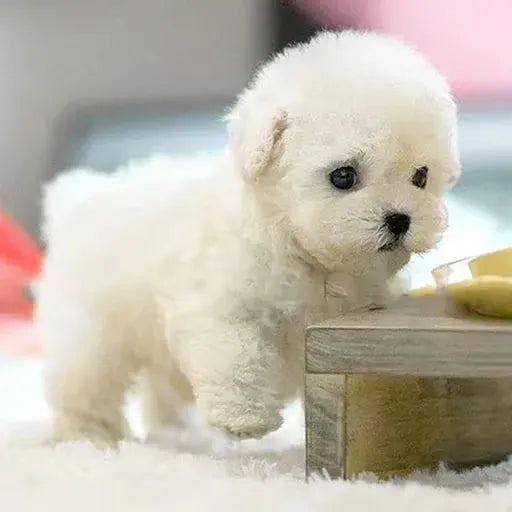 PupBot™ - Realistischer Roboterwelpe
