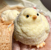 ChickEase™ - Stressabbauendes Quetschspielzeug