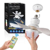 BreezeLite™ - Licht & frische Luft in einem!