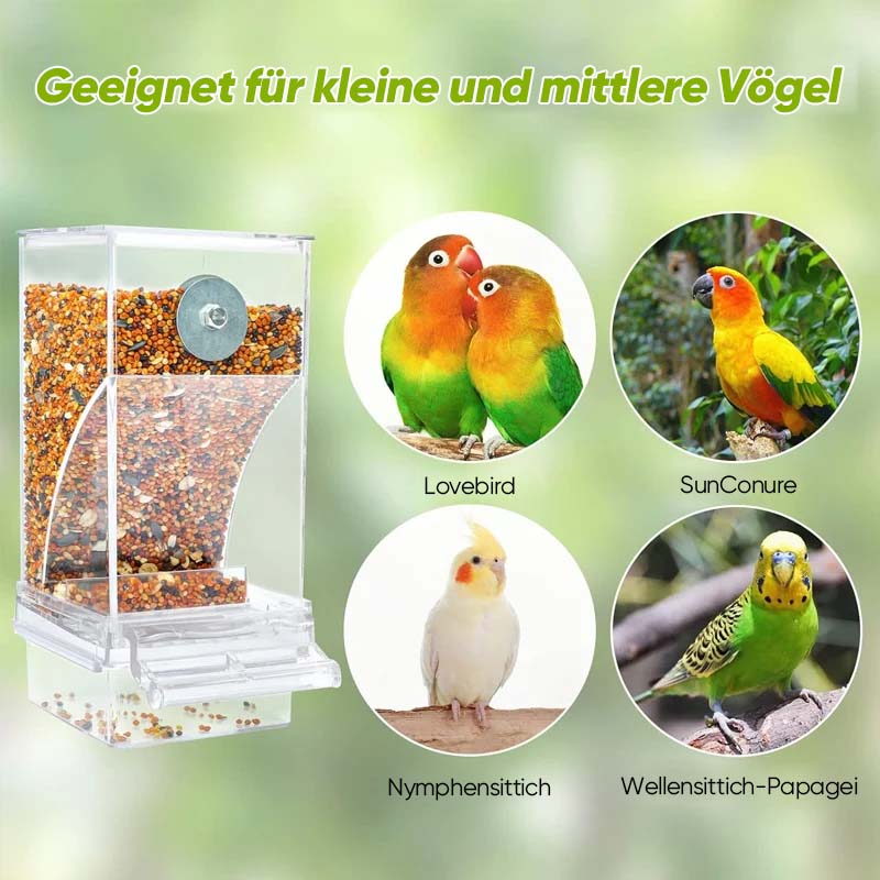 1+1 GRATIS | Vogelfutterhaus™, Genießen Sie jeden Samen, ohne etwas zu verschütten!