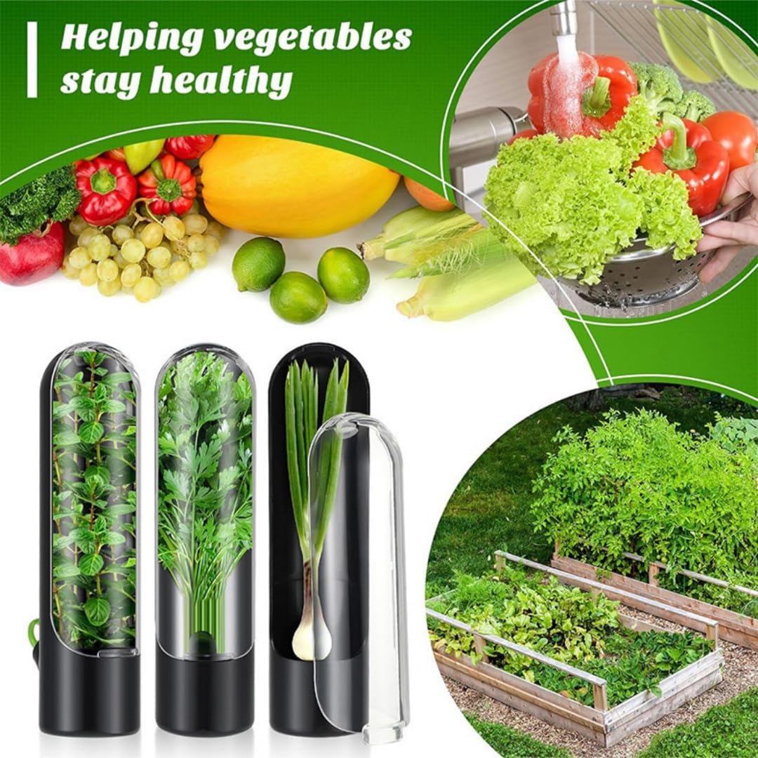 1+1 GRATIS | HerbSafe™ Sichere, frische Kräuterlagerung