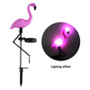 1+1 GRATIS | Glowingo™ Bunte Solarleuchte in Flamingoform