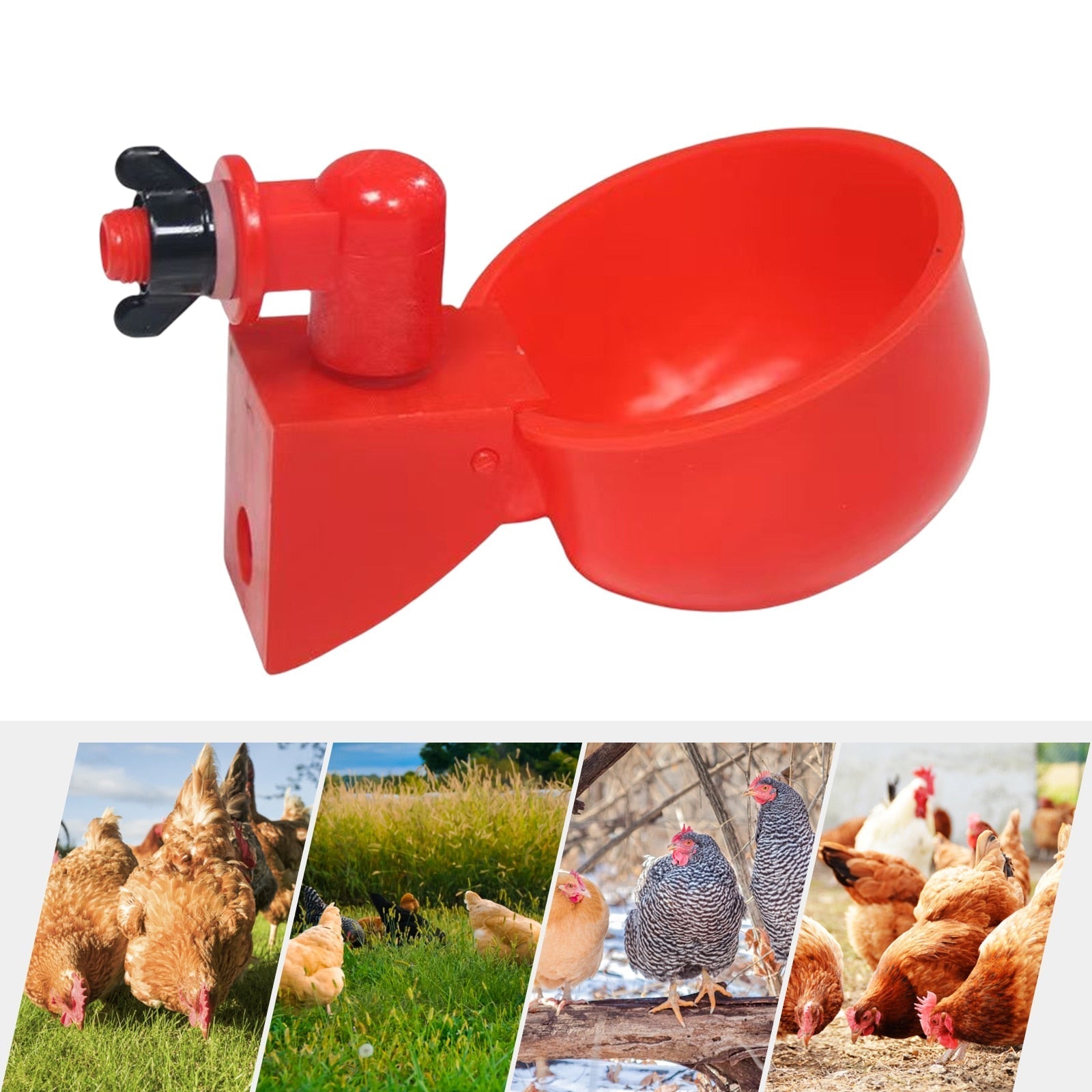 3+3 GRATIS | HydraCup™  Automatische Wasserversorgung für Geflügel