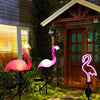 1+1 GRATIS | Glowingo™ Bunte Solarleuchte in Flamingoform