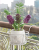 Florify™ -  Blumenständer zum Aufhängen