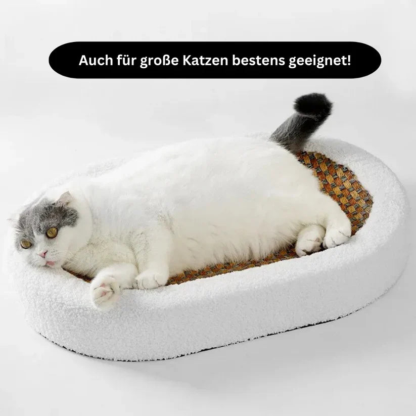 ScratchNest™ - Verwöhnen Sie Ihre Katze mit dem Luxus, den sie verdient!